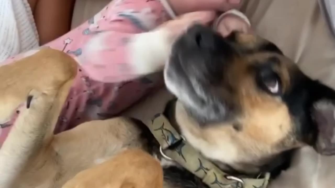 8-Month-Old and Dog Cuddle in Bed and Wake up Dad || ViralNEWS