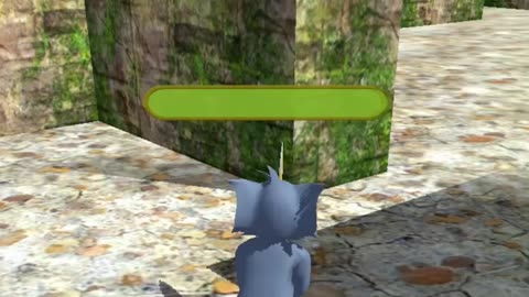 Tom and jerry | cartoon | ca5s video