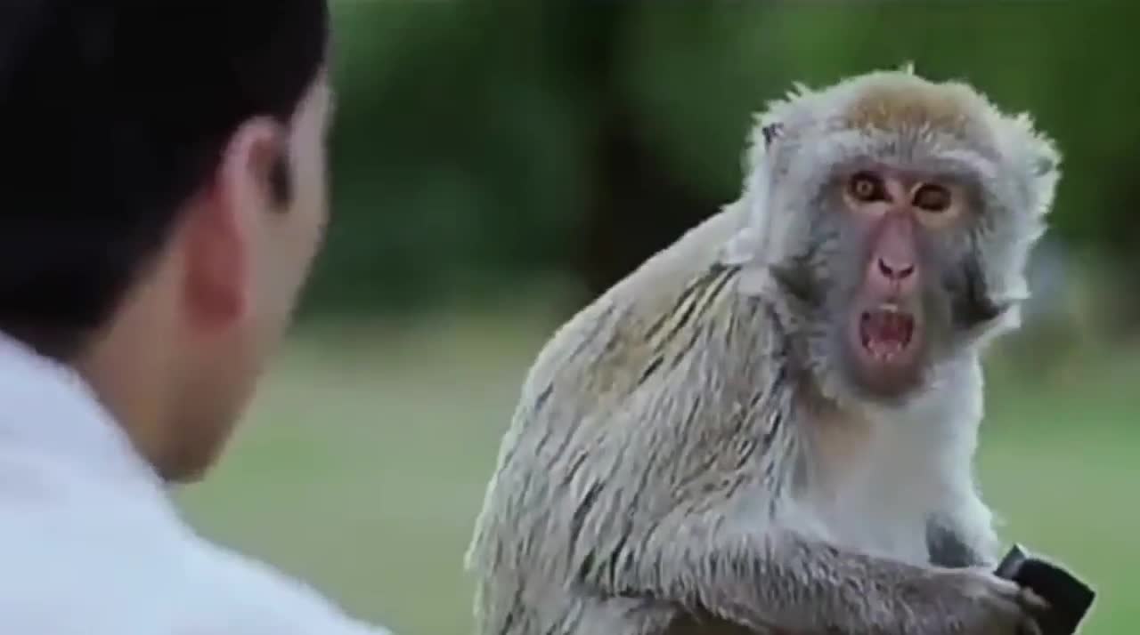 Akshay kumar best comedy Scene _ Best Funny WhatsApp status video