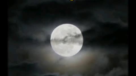 Top 5 Astronomical Events in 2023 #shorts #space #universe #viral