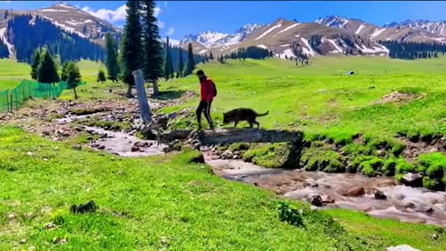 21_🥰🥰🥰scenery is beautiful#landscape #scenery #travel #cure #fyp #tiktok