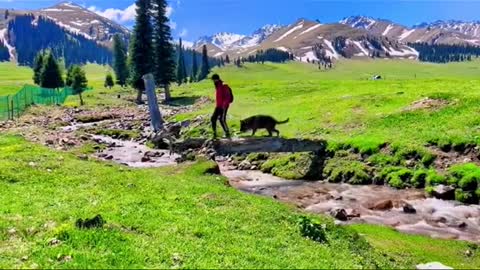 21_🥰🥰🥰scenery is beautiful#landscape #scenery #travel #cure #fyp #tiktok