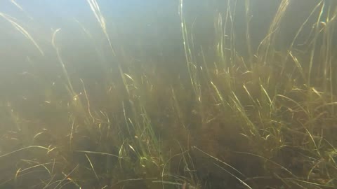 Underwater Adventure