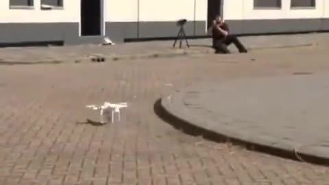 The Dutch police training eagle repelled the suspicious drone Xiaobian,
