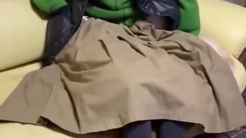 Animal funny video 🤣🤣