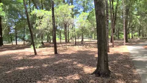 Sholom Labyrinth Profound Spiritual Video, if this does not stir the good in your soul nothing can!