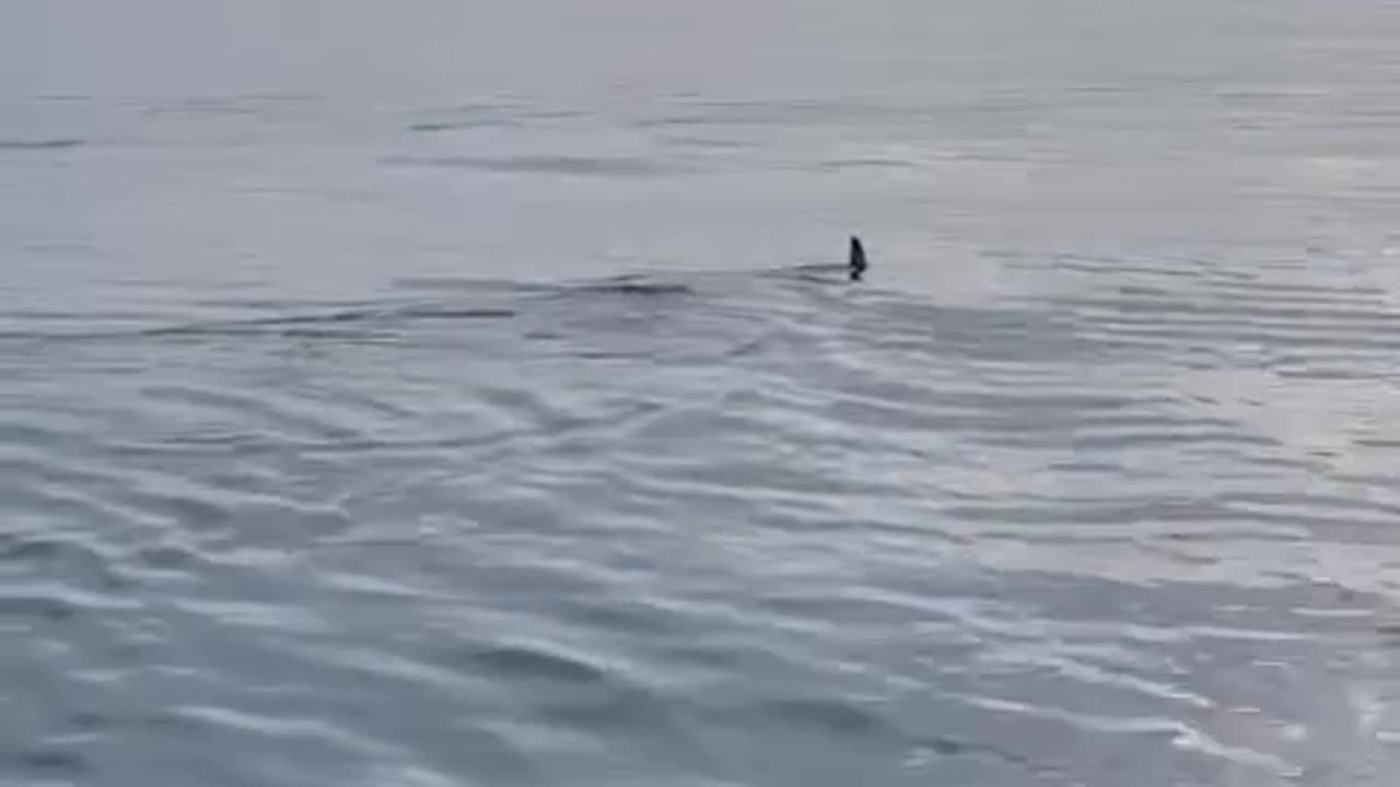 If you asked me I would get the heck out of there