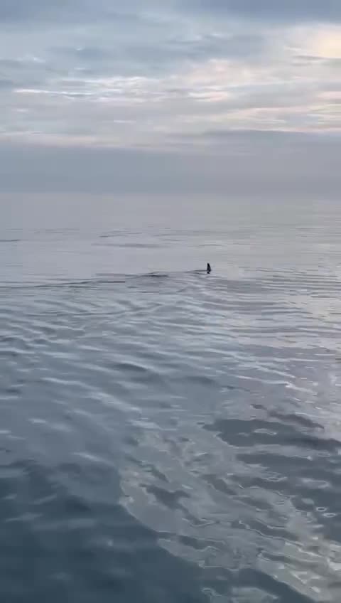 If you asked me I would get the heck out of there