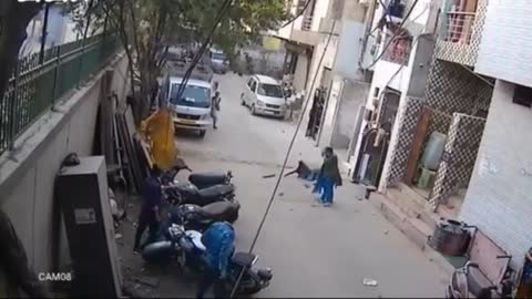 HAZARDOUS DOGS ATTACK ON STREET, BITES HUMAN AND KIDS, REAL ATTACK