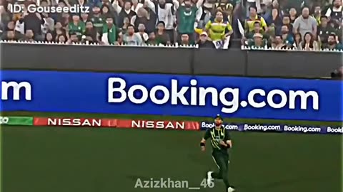 Cricket world