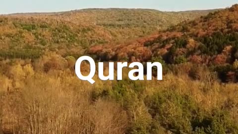 Al Quran Surah At Taghabun 12 - 16 #quran #islam #shorts