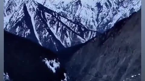 Nature video colour grading