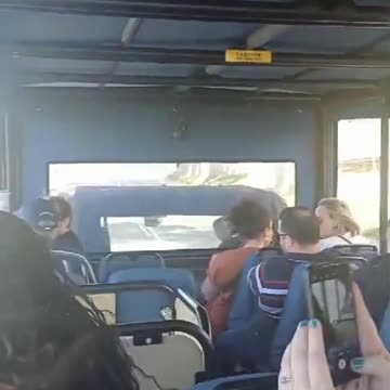 New wine safari tours Durbanville’s vineyards