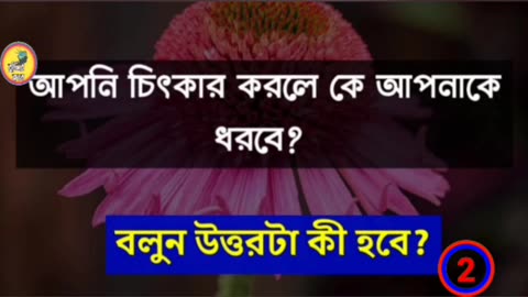 ধাঁধা / বাংলা ধাঁধা প্রশ্ন ও উত্তর / মজার ধাঁধা / গুগলি ধাঁধা / gk video / bangla quiz / dhadha