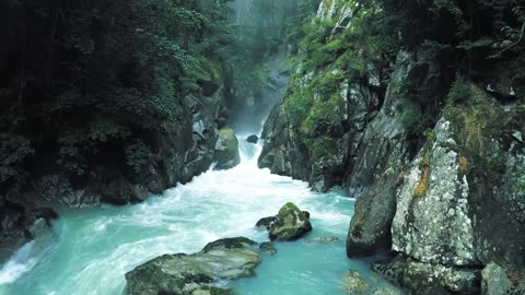 Nature is Life