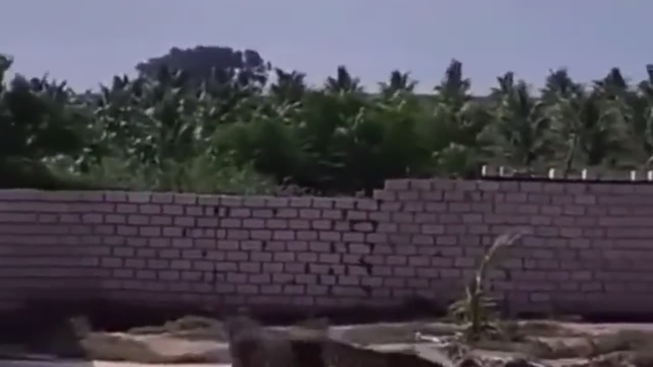 When God saves you but your sinful nature takes you back every week || change or perish