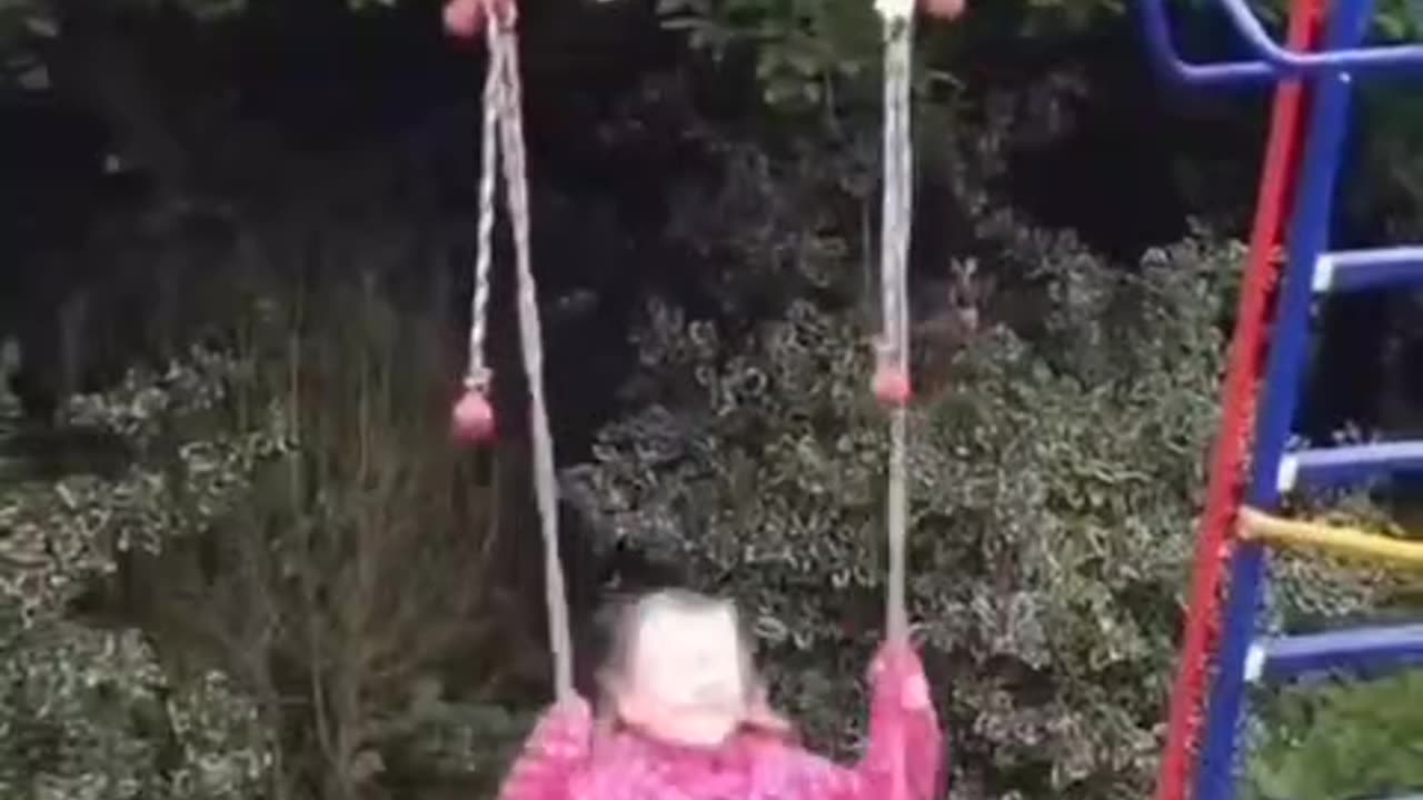 Girl & Cat on the Swing