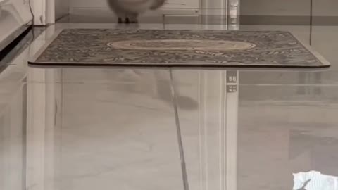 The lil toes, I can't