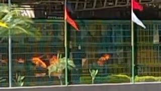 Grande incêndio no Atacadão