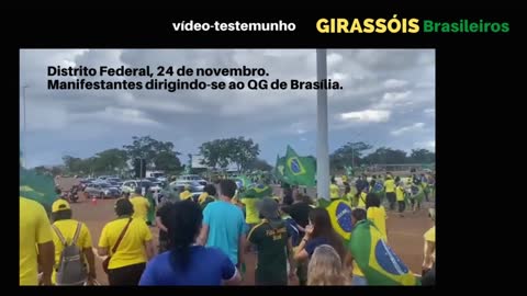 Girassóis Brasileiros, vídeo-testemunho