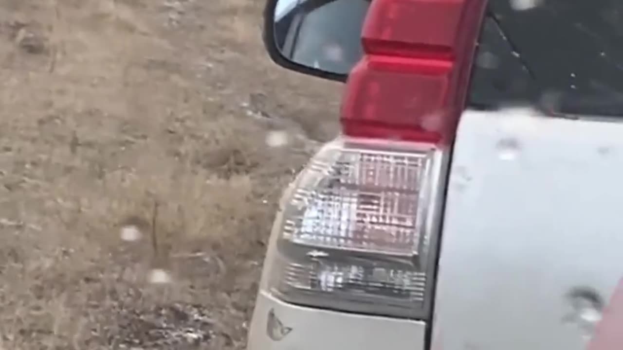 Dangers and beauty of nature could lead you to some horrible and fun events
