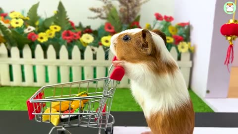 Hamster Min goes shopping to make hamburger