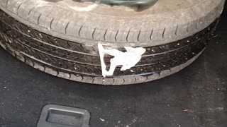 Sasquatch Flattens Car Tire
