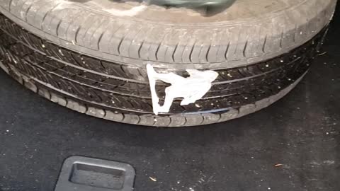 Sasquatch Flattens Car Tire