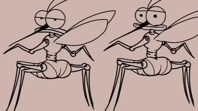 Funny shorts