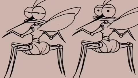 Funny shorts