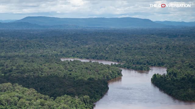 Slowing deforestation is the key to preventing the next pandemic – but what does that cost