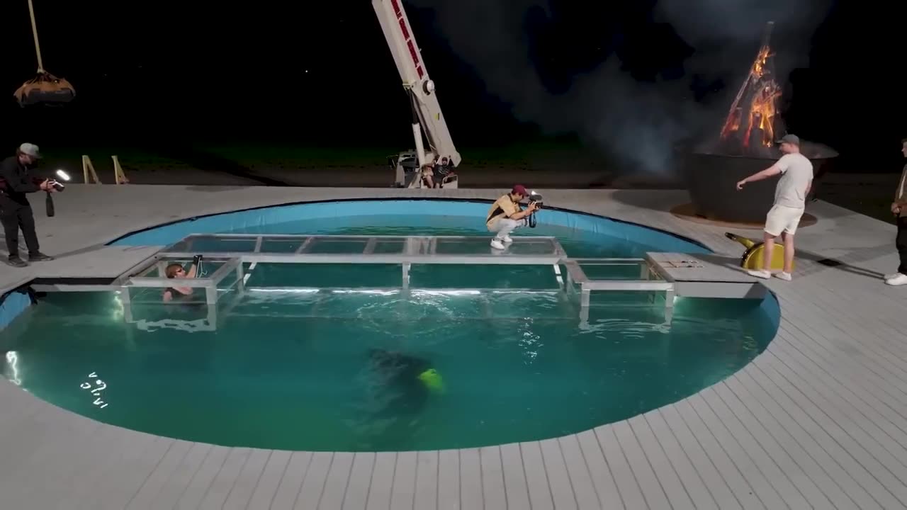 World's Most Dangerous Trap!