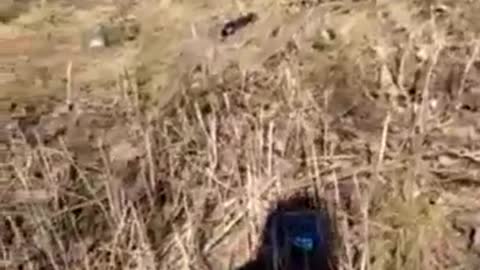 Ukraine War - Armed formations of Chechen militants