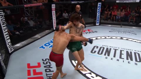 Sweet Sugar Sean O Malley Highlights!