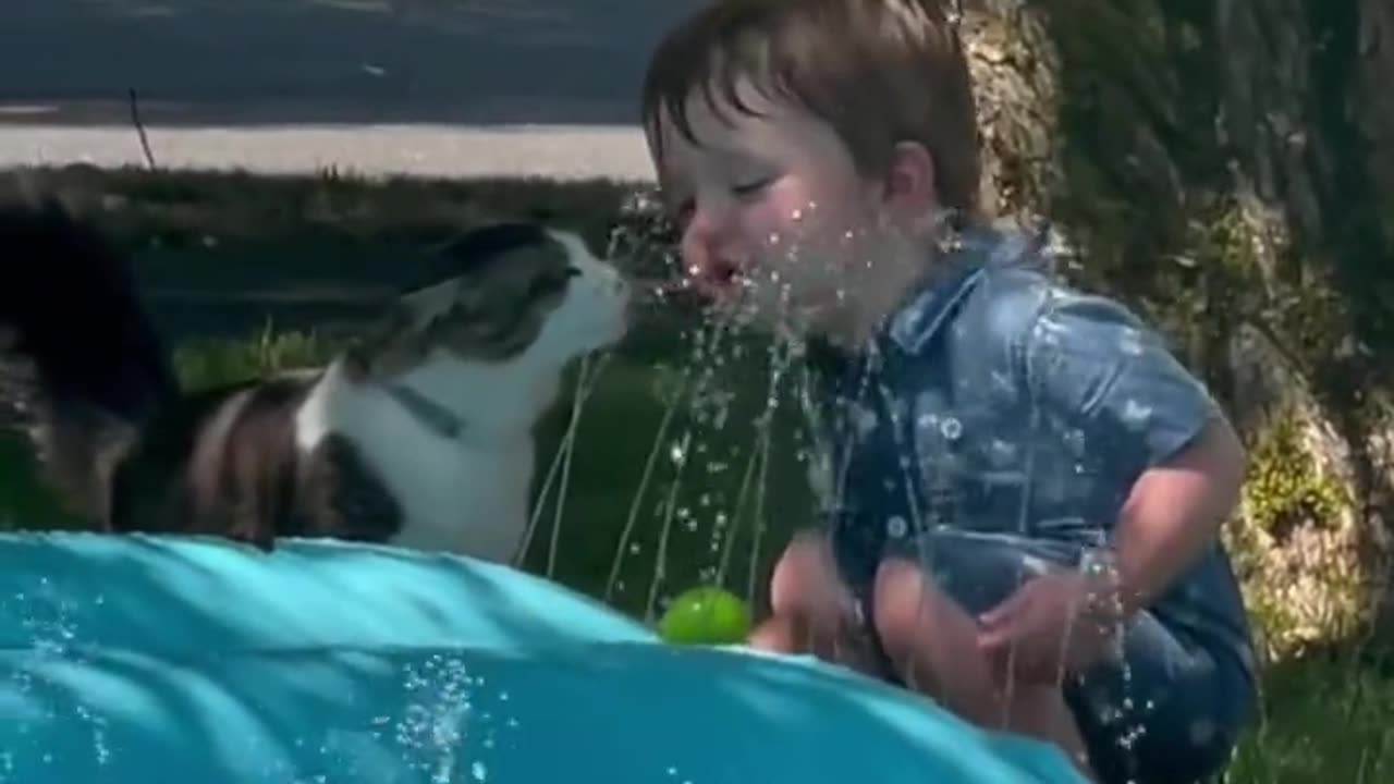 The Best Of Two Friends