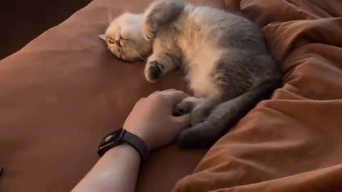 your boyfriend will not hug you when he sleeps