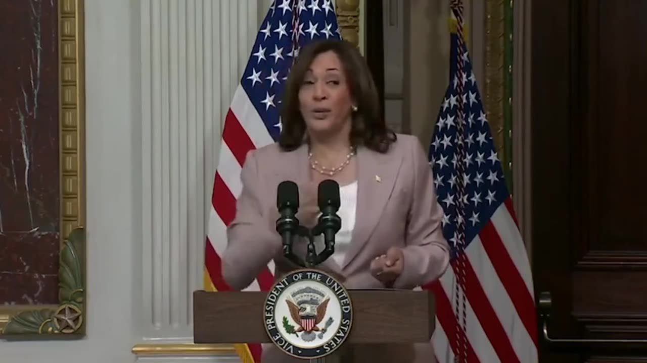 VP Harris Says the Quiet Part Out Loud
