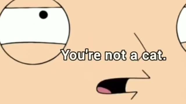 Funny Family Guy