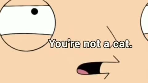 Funny Family Guy