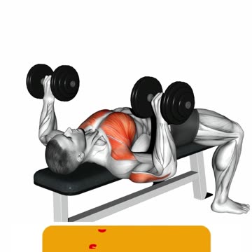 Dumbbell Chest Workout #chestworkout #dumbbellexercises #homefitness #gymathome #shorts
