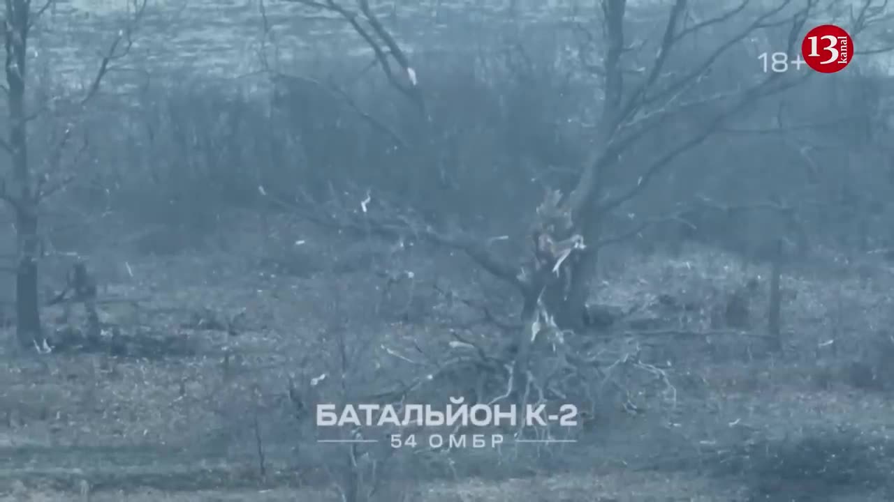2 groups of _Wagners” advancing in forest were surrounded