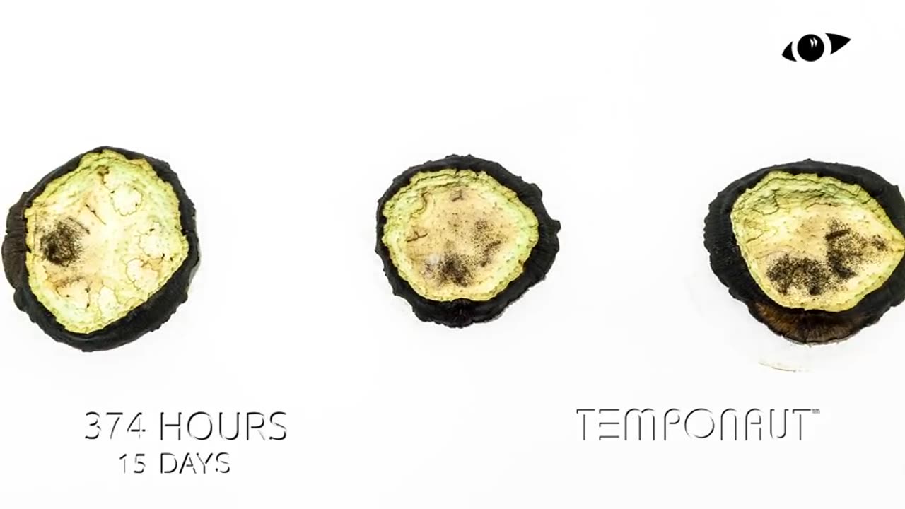 Eggplant Aubergine Timelapse