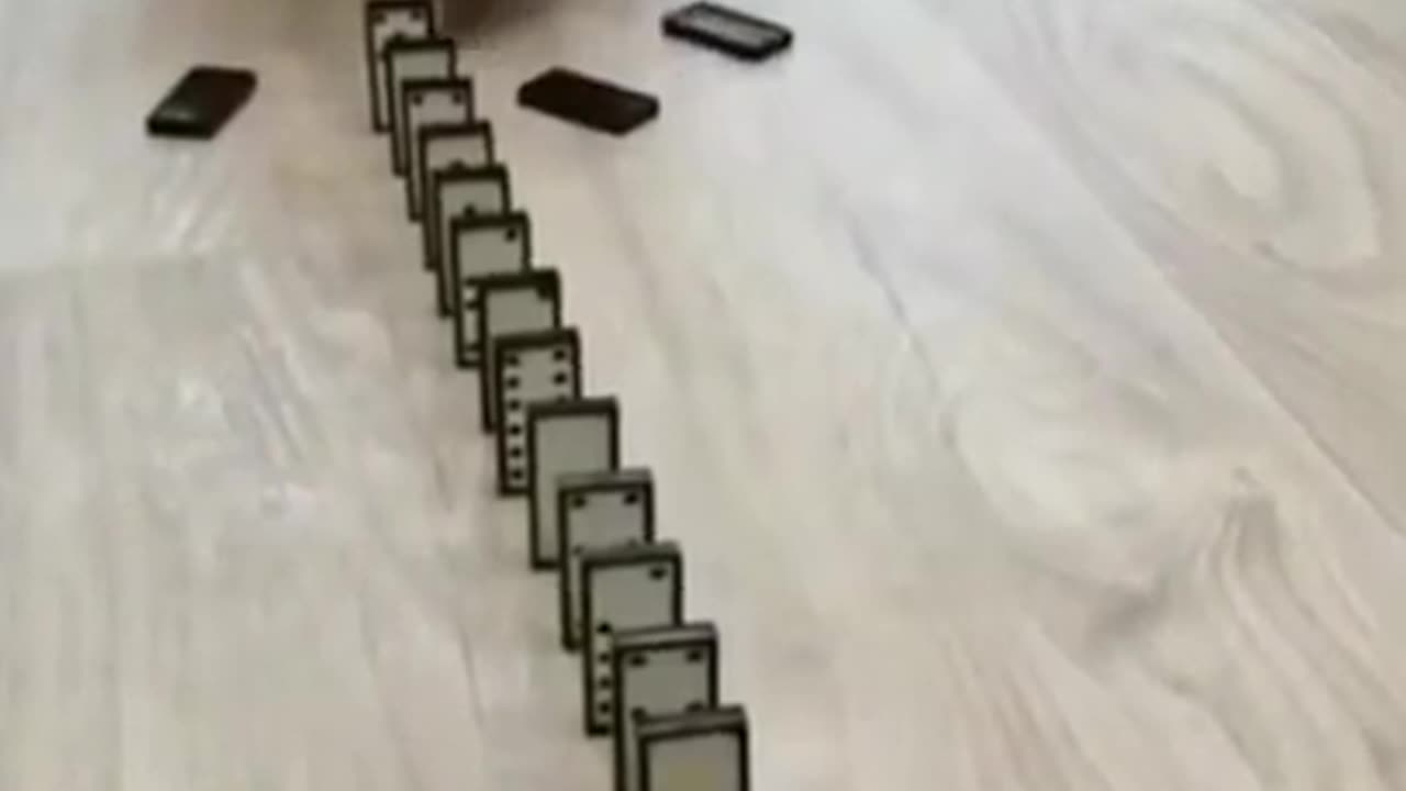 Funniest Animals Videos 2023 😍 Funniest Dogs And Cats 🐱🐶