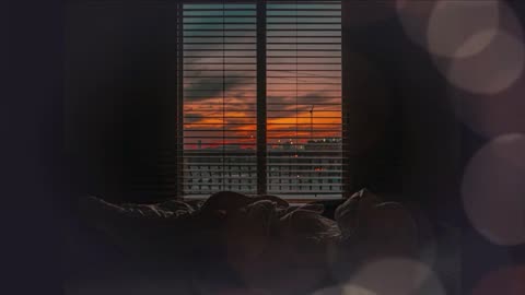 Dream Land, Relaxing Music Music Of Study Positive Soul Sleeping Music