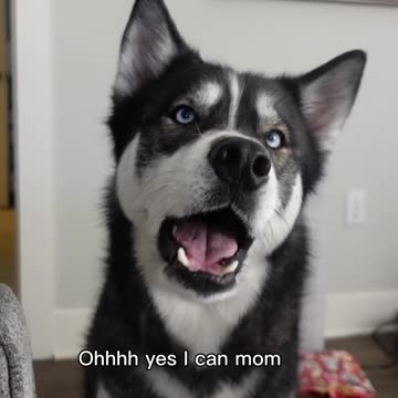 Always running to momma 😂