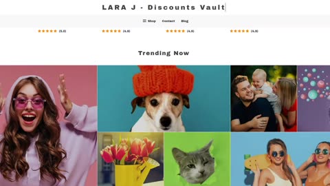 Lara J - Discounts Vault