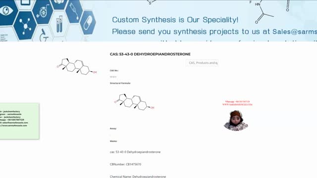 cas: 53-43-0 Dehydroepiandrosterone