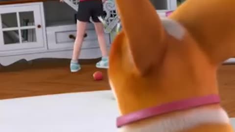 Funny animal video