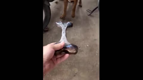 Try not to laugh 😂😂