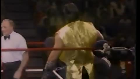 Brutus beefcake vs. Salvatore bellomo